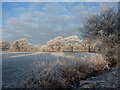 Hoar frost at Wigsley in NG23 7ER