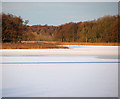 Ormesby Broad in mid December in NR29 3LT