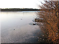 A frozen Rollesby Broad in NR29 3LT