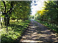 Restricted Byway in OX12 8NP