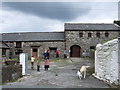 Pen-y-feidr farm, Newport/Trefdraeth in SA42 0QZ