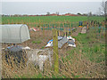 Allotments at Clifton Campville in B79 0AX