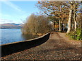 Path in Balloch Castle Country Park in G83 8QX