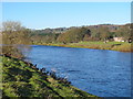 The River Tyne at Prior Thorns in NE45 5QT