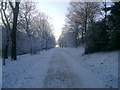 Snowy path in Ruchill Park in G20 7SG