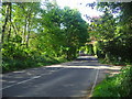 A287 northbound, Churt in GU10 2QR