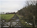 Track leading to Sir Edward's Lake in Capheaton