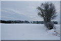 Snowy fields east of Airlie in DD8 1QP