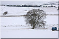 Snowy field, Kirkton of Kingoldrum in DD8 5HL