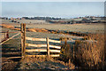 Frost Christmas morning 2010 in TN39 4QX