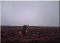 Trig Point (551m) on summit of Tarn Seat in DL11 6NP
