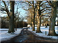 Road at Kiltearn Old Parish Church in IV16 9XG