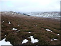 Heather moor below the Clochnant valley in Llandrillo Community