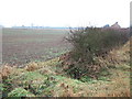 Hedgerow and farmland on Station Road in PE34 4SN