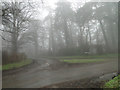 Church Road Broome in the fog in Broome