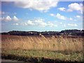 Halesworth view across fields in IP19 8SD