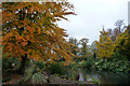 Autumn colour beside a pond in Cannon Hill Park, Birmingham in B5 7QP