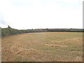 Field near Penrose and St Issey in PL27 7RJ