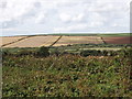 Fields by Winnards Perch roundabout, near St Columb Major in TR9 6DG