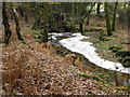 Huckles Brook near North Gorley in SP6 2PU