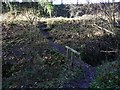 Footpath junction and bridge in GU34 4PA
