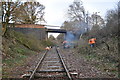 Bridge 1698 - Vegetation Clearance Team in NR19 2DH