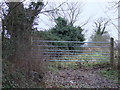 Gate into field, East End Lane in CO7 6XJ