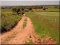 Farm track south of Snitton in SY8 3EZ