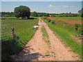 Farm track through arable land south of Snitton in SY8 3EZ