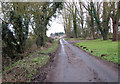 Unnamed lane past Poplar Farm in NR17 1NT