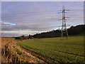 Field with pylon near Upper Farringdon in GU34 3EB