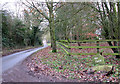 Unnamed lane past the entrance to Fen Farm in NR17 1NT