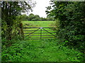 Houghton - The Test Way Footpath in SO20 6JB