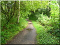 Stockbridge - The Test Way Footpath in SO20 6JB