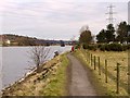 Riverside path west of Newburn Bridge in NE15 8PY