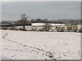 Snow covered fields, Swinton in TD12 4HH