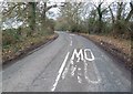 Cautionary road markings in Copse Lane in PO11 0RT