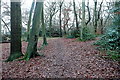Woodland west of the village in HP10 9HE