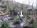 Waterfall in Penllergare Valley Wood in SA4 9FY