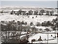 Snowy East Allen Dale at Sinderhope below Broad Gate in NE47 9SL