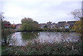Pond, Westham in BN24 5HL