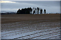 Snowy stubble, Airlie in DD8 5PA