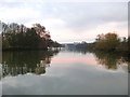 The Thames below Eel Pie Island: looking downstream in TW1 4AD