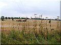 Fields  near Manor Farm in St. John, Ilketshall