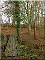 Footbridge, Balneath Wood in Chailey, Barcombe & Hamsey Ward