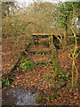 Derelict Weir, Balneath Wood in Chailey, Barcombe & Hamsey Ward