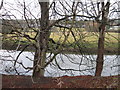 River Aire north of A650 in BD16 2AF