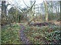 Footpath at the foot of the woods in WF3 3QW