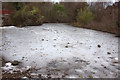 Frozen pond, Royal Botanic Gardens Edinburgh in EH3 5NZ