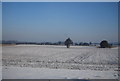 A snowy rural landscape near Comberford in B79 9BG
